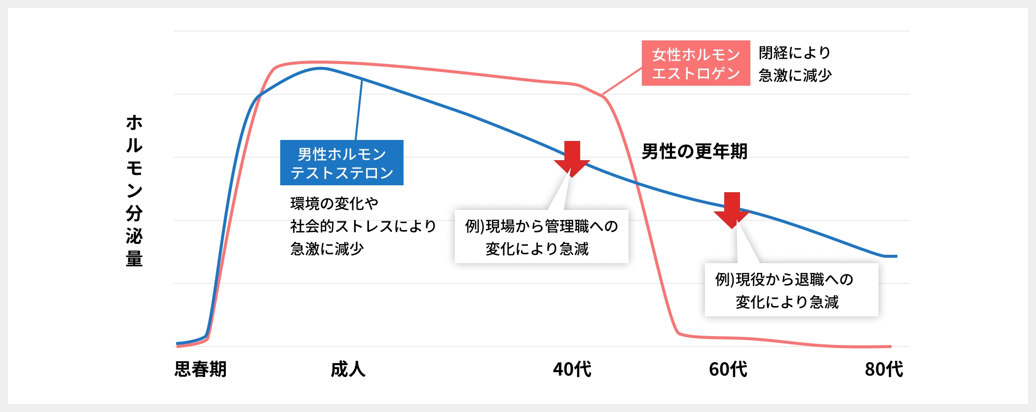男性ホルモン・女性ホルモンの分泌量推移グラフ