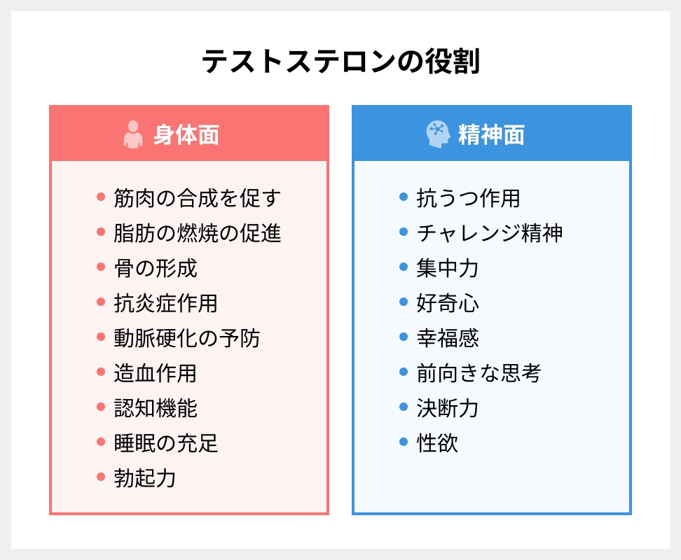 テストステロンの役割（身体面・精神面）